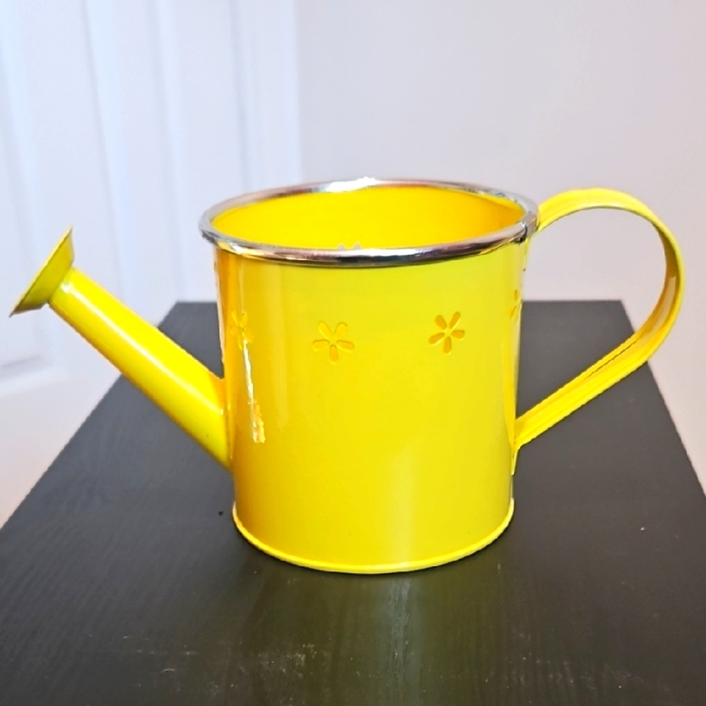 Floral‎ Metal Pot with design